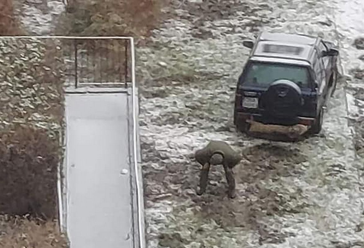 Myśliwy odstrzelił 6 dzików pod balkonami i na oczach dzieci.