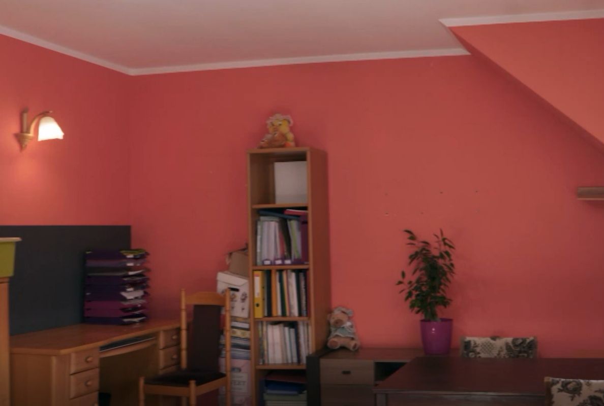 Przed metamorfozą (screen z programu)