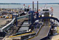 Polak zatrzymany w Wielkiej Brytanii. Gigantyczny przemyt