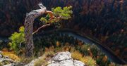 GOPR apeluje do turystów. Schodzenie ze szlaków grozi śmiercią