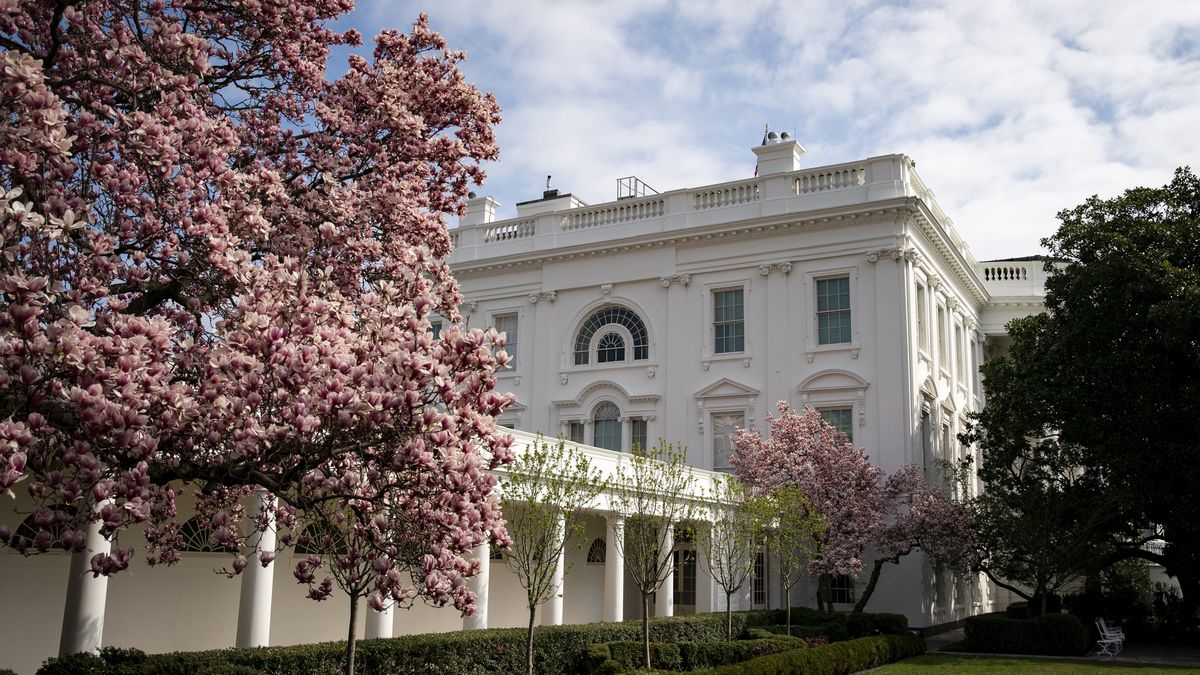 Donald Trump robi porządki w Białym Domu. Wytnie 200-letnią mangnolię