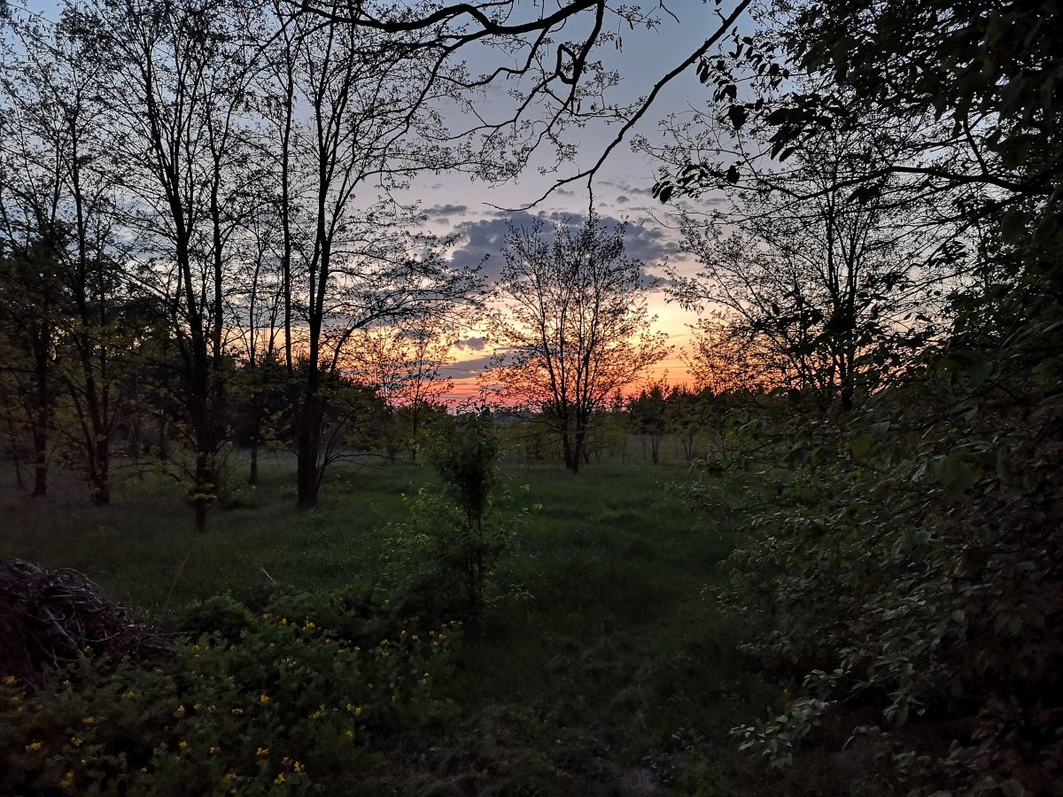 Huawei P20: test bardzo dobrego smartfonu o aparycji pięknego flagowca 32
