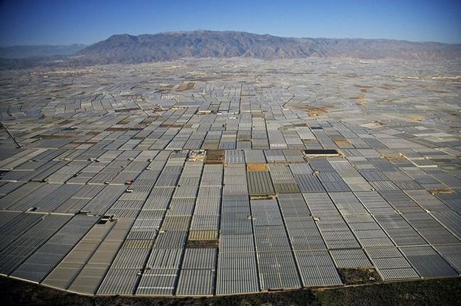 Almeria - tunele foliowe