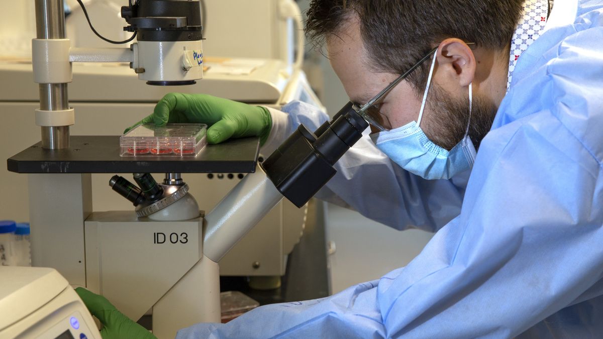 W Wielkiej Brytanii wykryto nową mutację COVID-19