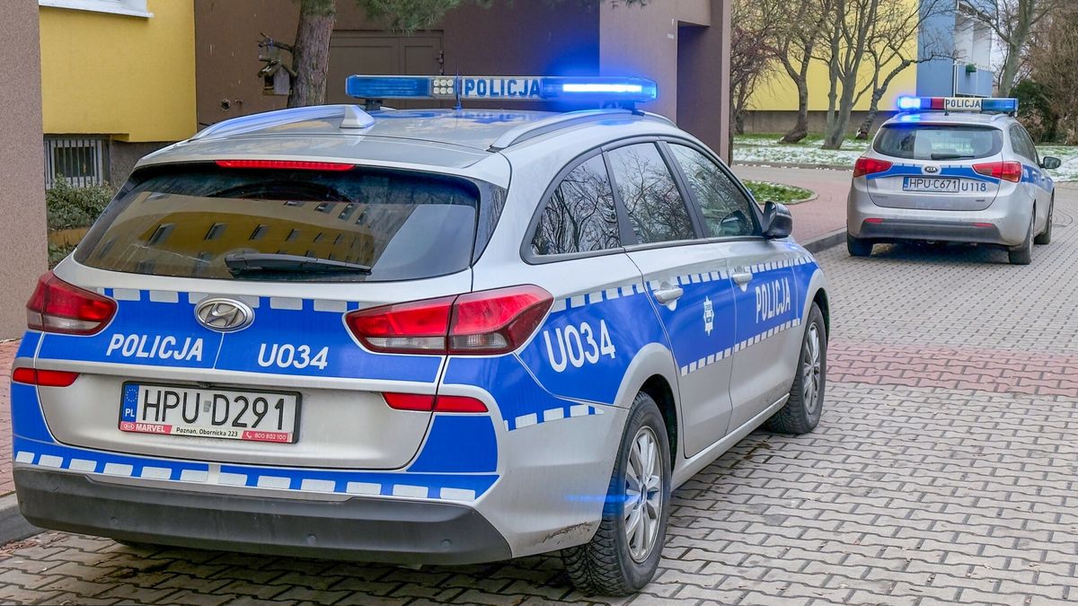 East News archiwum
Fot. NewsLubuski/East News, 12.01.2025, dwa patrole policji interweniowaly na osiedlu w Poznaniu
NewsLubuski