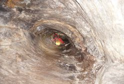 Ratownicy uratowali Polaków uwięzionych w jaskini w Austrii. "Żyją, mają objawy lekkiej hipotermii"