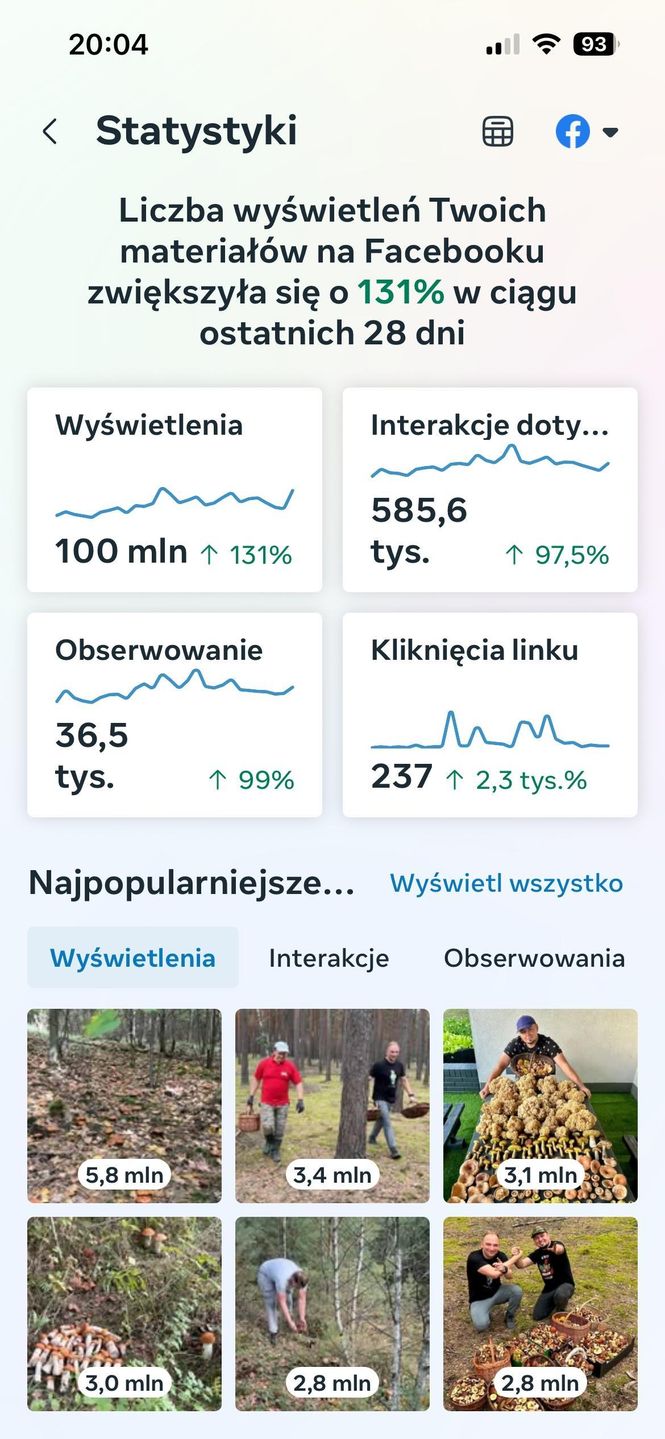 Statystyki przekazane WM przez Damiana Lipczyńskiego