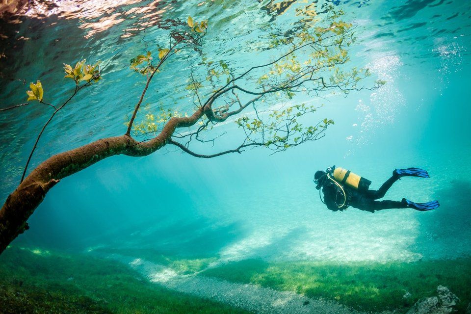 Trzecie miejsce zajęła fotografia jeziora Grüner See w Austrii, którego woda podnosi się co roku o kilka, kilkanaście lat, gdy topniejący śnieg spływa z gór. Zalaniu ulegają wtedy łąki, a nawet drzewa rosnące normalnie na powierzchni.