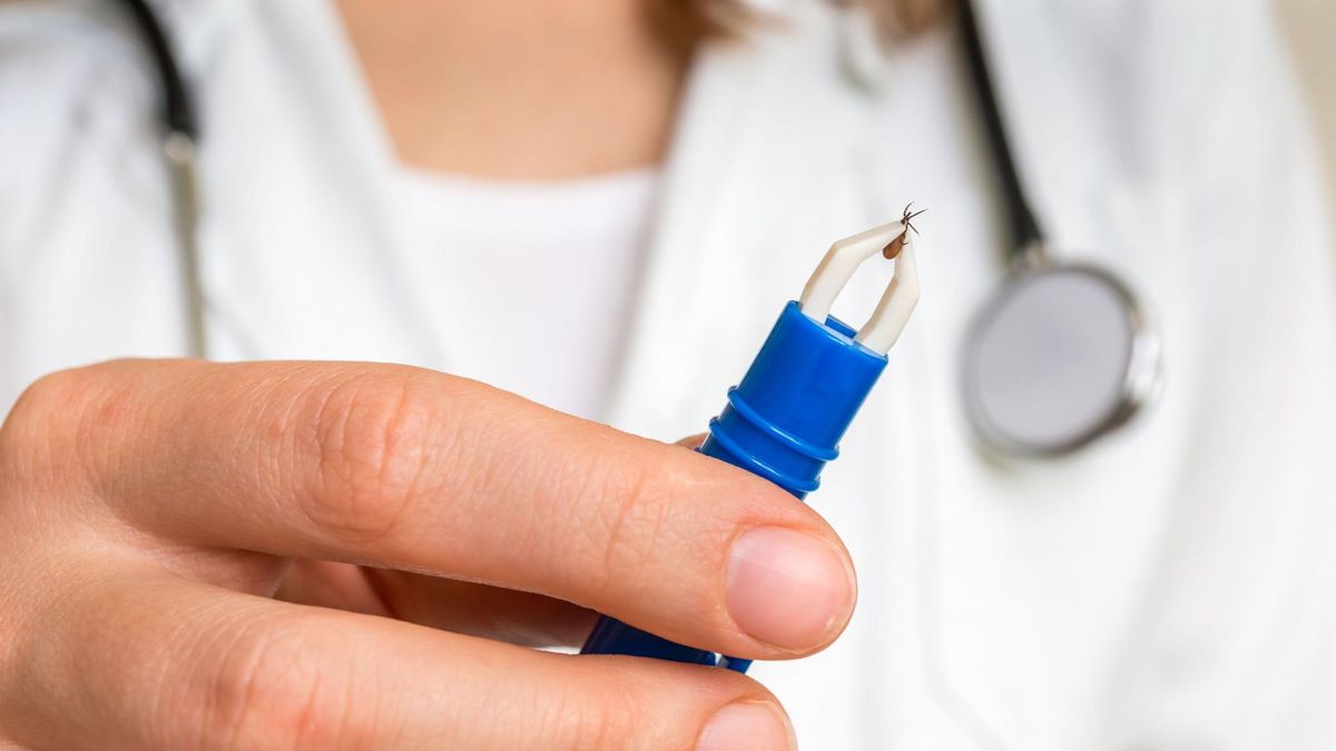 Neuroborelioza może być bardzo groźna dla życia i zdrowia