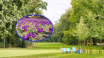 Mało znane miejsce w Polsce. Wiosną zachwyca dywanami kwiatów i spokojem