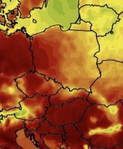 Mamy prognozę na całe wakacje. Synoptyk IMGW zdradza