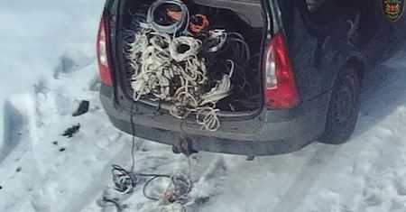 Gdańscy strażnicy wyłapali przestępców. Mieli sprytny pomysł na biznes