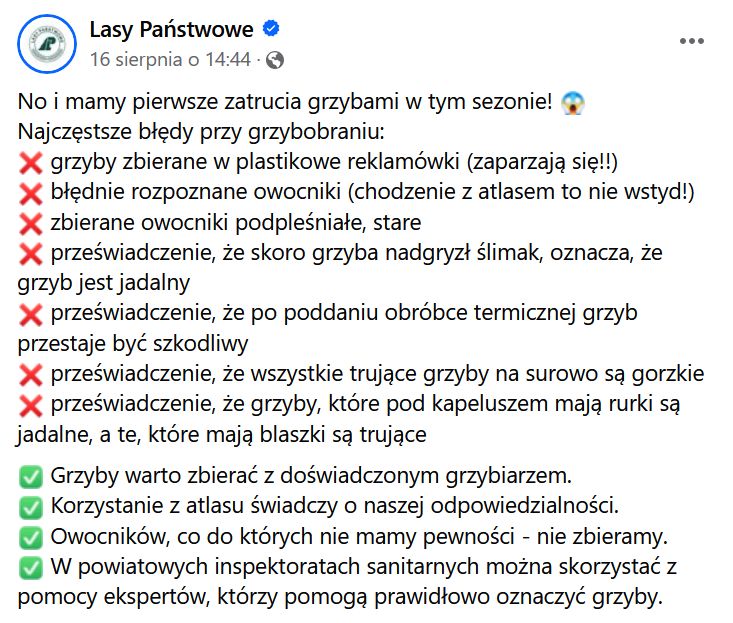 Jakie są najczęstsze błędy przy grzybobraniu?