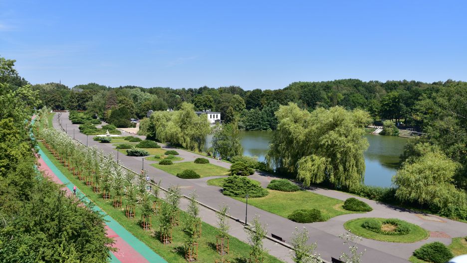 Park Śląski jest dwa razy większy niż Central Park