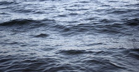 Wyłowili ją z oceanu. Naukowcy badają nieznaną rybę