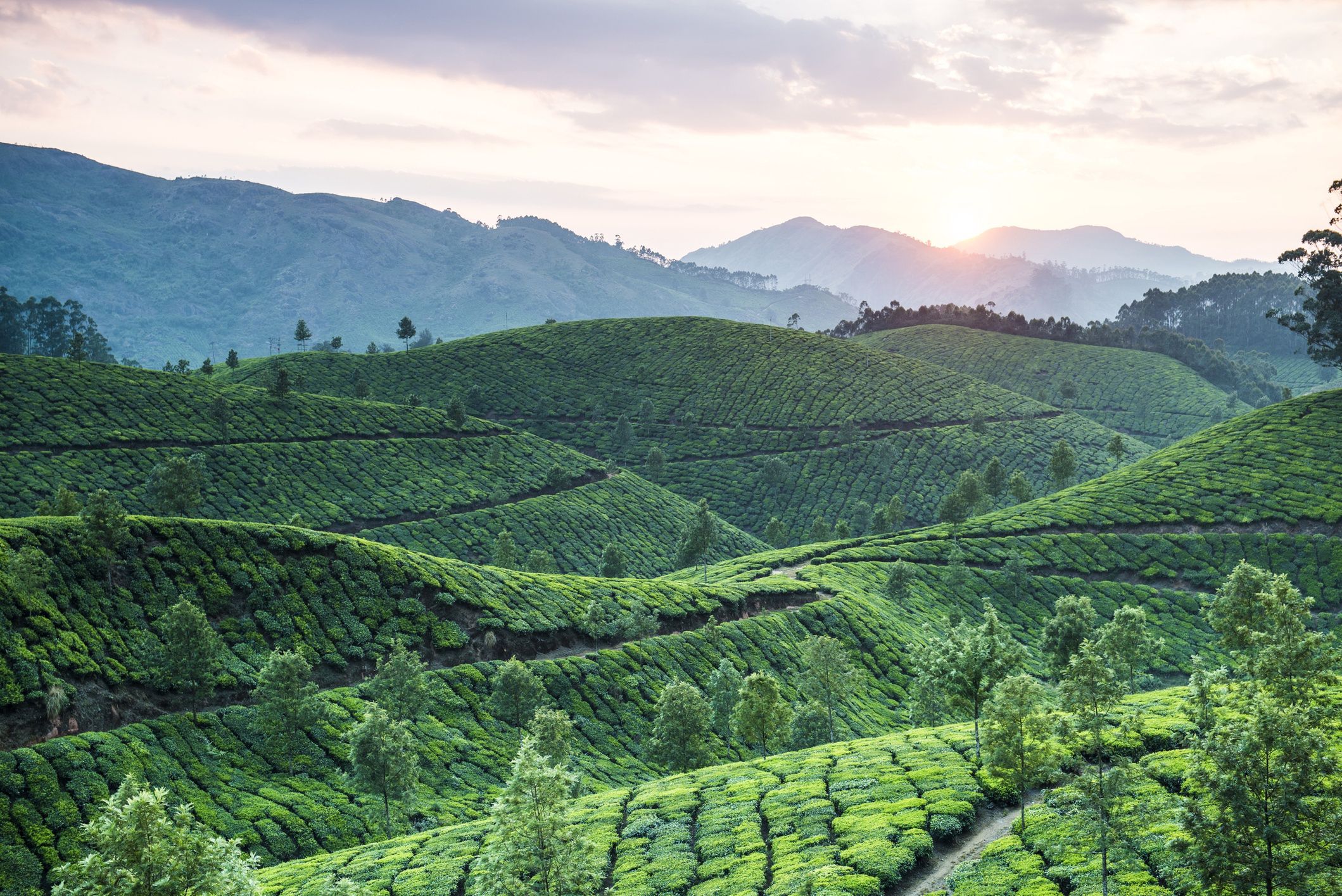 Kerala, Indie