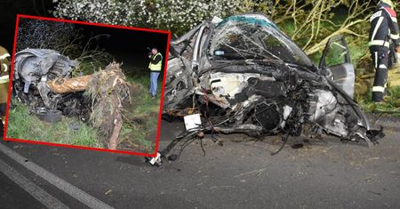 Po uderzeniu drzewo wyrwane z korzeniami. Tragedia w Pomorskim