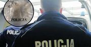 Policjanci przyłapani w pracy. Prokuratura zabiera głos po skandalu