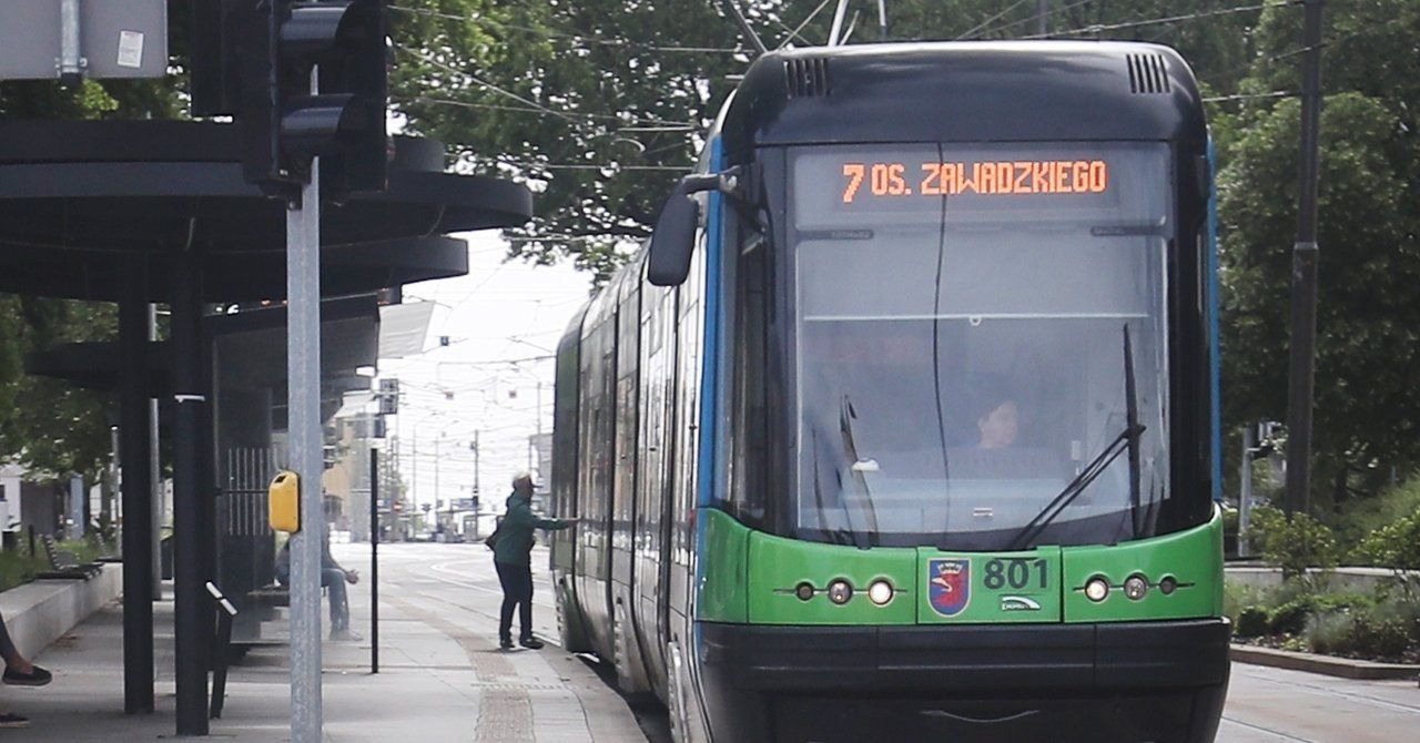 Szczecin: Dzisiaj autobusem lub tramwajem bez biletu