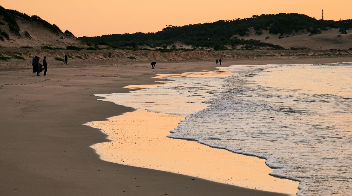 Czas "na plażę". Rozwiąż krzyżówkę rodem z wakacji