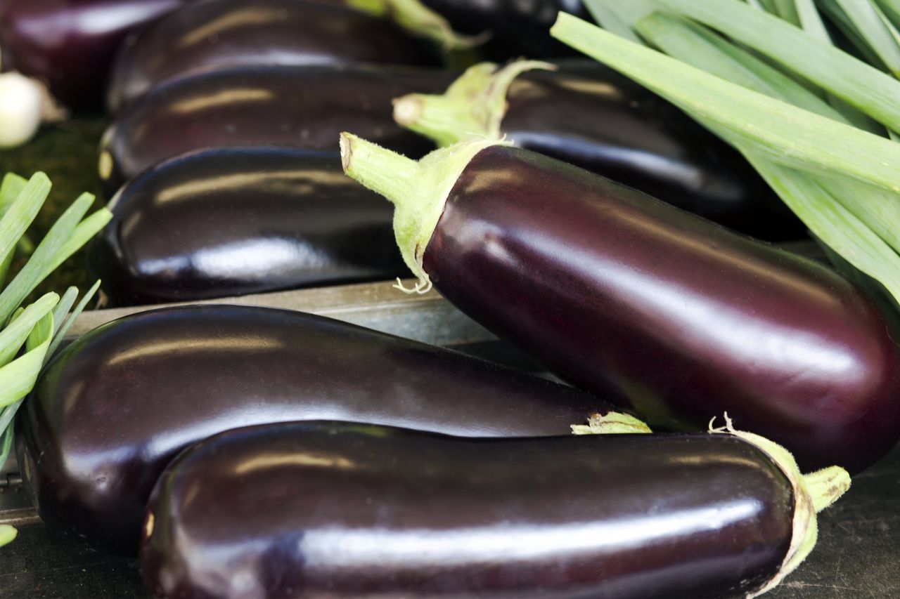 Eggplant