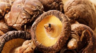 W Polsce wciąż niewielu sięga po te grzyby. Uchodzą za najzdrowsze na świecie