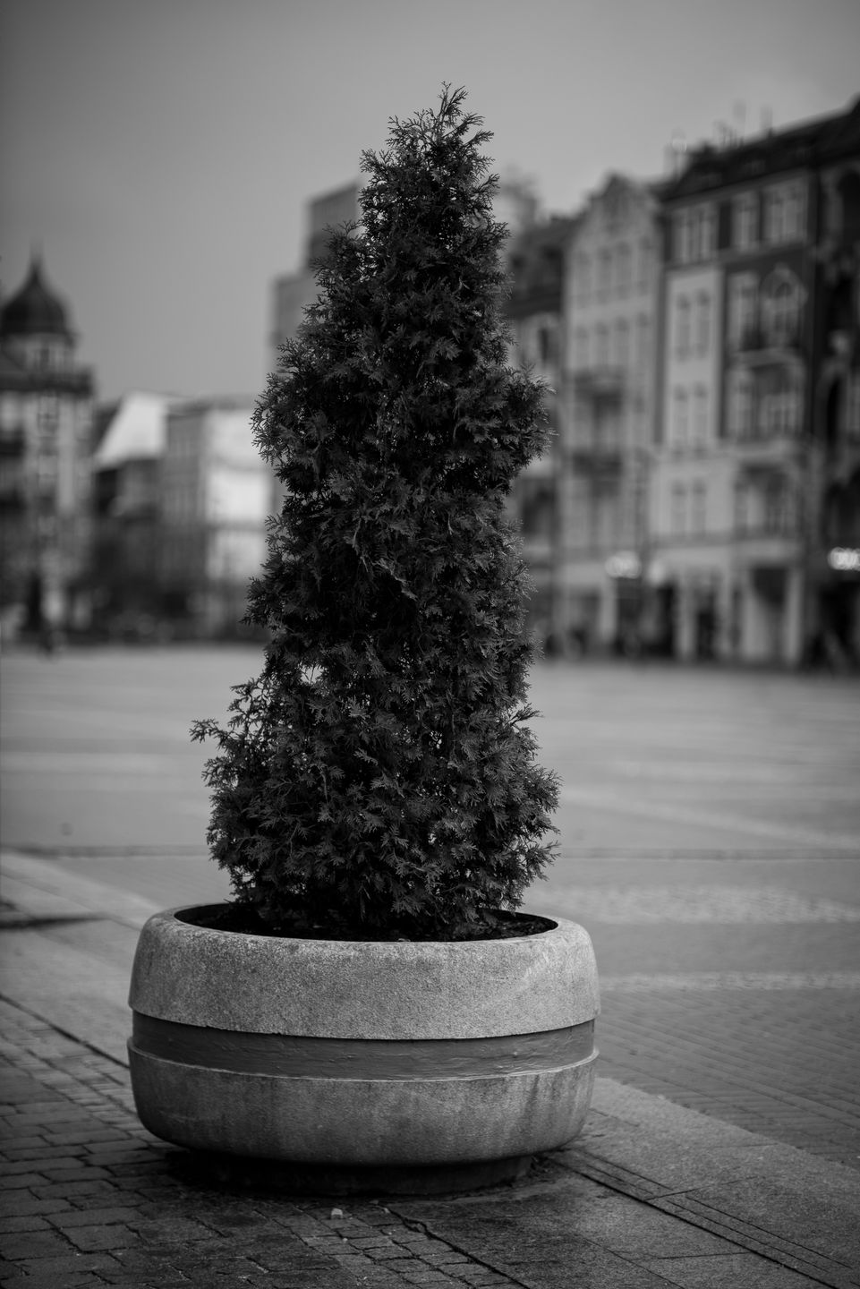 Więcej światła z Chin. Mitakon Speedmaster 85 mm f/1.2 26