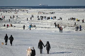 Takie będą skutki mrozów. "Pierwszy rok od lat bez wejścia w wiosnę z suszą"