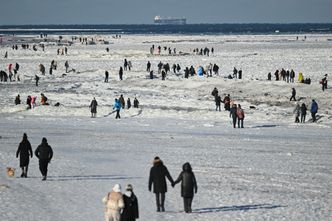 Takie będą skutki mrozów. "Pierwszy rok od lat bez wejścia w wiosnę z suszą"