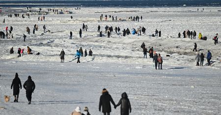 Takie będą skutki mrozów. "Pierwszy rok od lat bez wejścia w wiosnę z suszą"