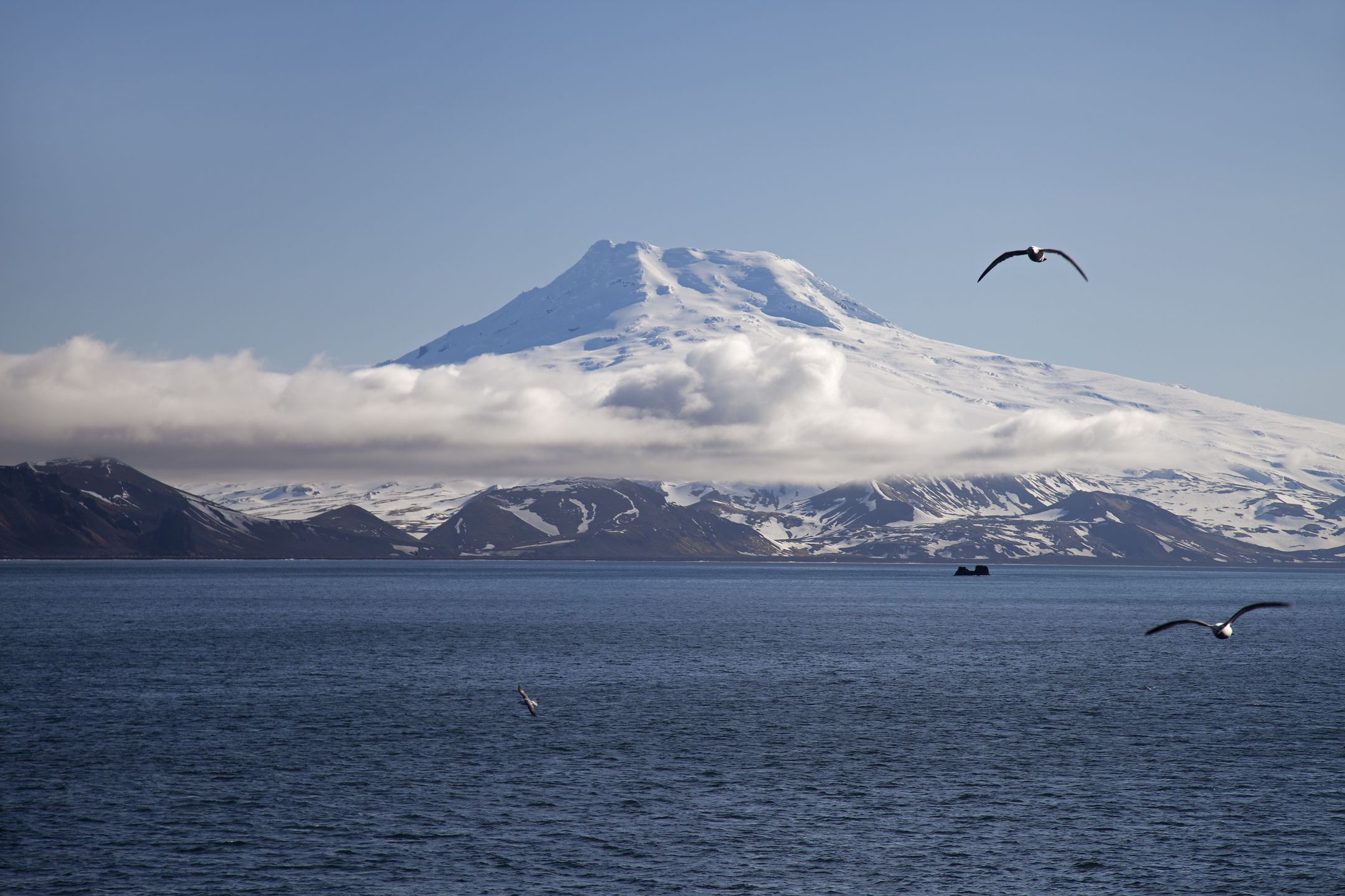 Pokryty lodowcem wulkan Beerenberg dominuje na wyspie Jan Mayen