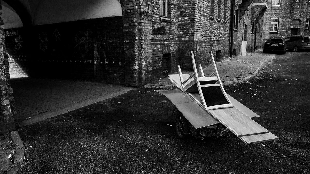 Sylwetki naszych czytelników: Dawid Janik 1