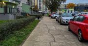 Legnica: Trzy firmy chcą przebudować chodnik przy ul. Szaniawskiego