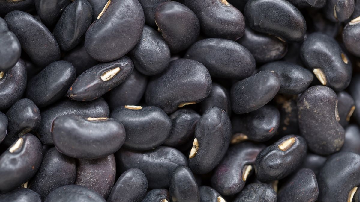 Fasola czarna wymaga długiego gotowania