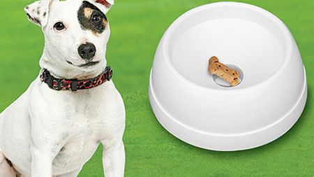 Finicky Feeders – nakarm swojego psa do syta! 1