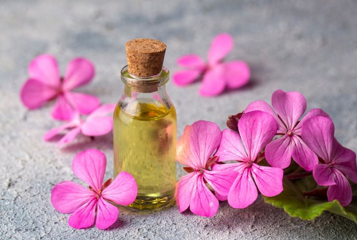 Olejek z geranium wykazuje działanie uspokajające oraz relaksujące, z tego względu wykorzystywany jest w aromaterapii.