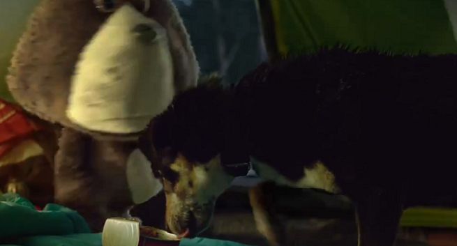 Rabaty w Strefie Plusha reklamowane przez Plushaka z kłopotliwym psem (wideo)