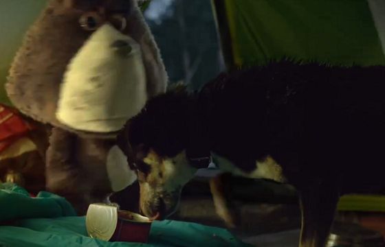 Rabaty w Strefie Plusha reklamowane przez Plushaka z kłopotliwym psem (wideo)