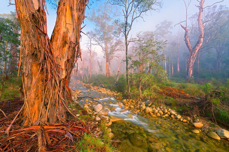 Magdalena Wasiczek z nagrodą Grand Prix konkursu International Garden Photographer of the Year 2015 6