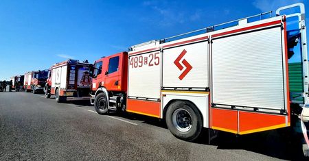 Zderzył się z lisem. Mężczyzna nie żyje