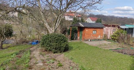 Setki złotych opłat. Działkowicze skarżą się na nowe cenniki