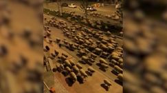 Nocny wypas owiec ulicami tureckiego miasta