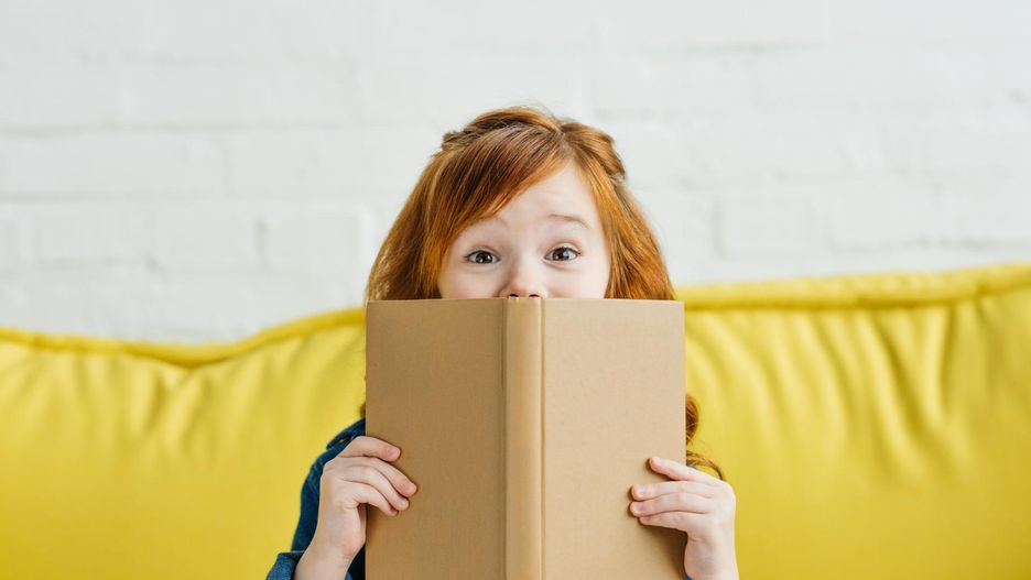 "Ten obcy" - streszczenie powieści Ireny Jurgielewiczowej