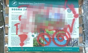 Leśnicy aż się zagotowali. Pokazali zdjęcia tablic