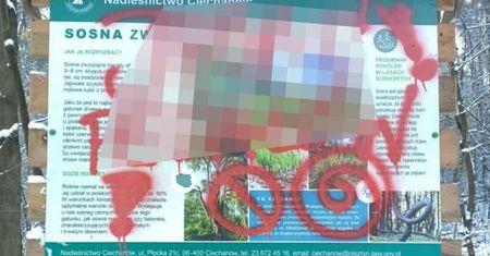 Leśnicy aż się zagotowali. Pokazali zdjęcia tablic