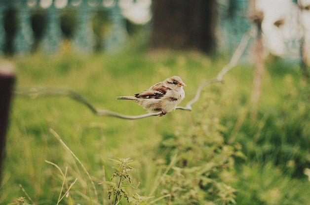 50 fotografii wykonanych klasycznym obiektywem 50 mm 41