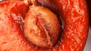 Co się stanie, jeśli połkniesz pestkę czereśni? Wiele osób nie wie