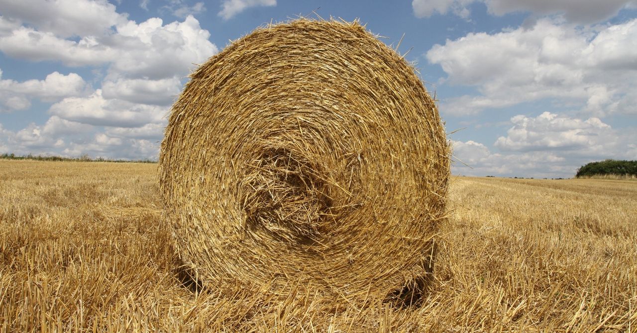 Ten warunek trzeba spełnić, aby dostać dopłaty. Inaczej pieniądze wrócą