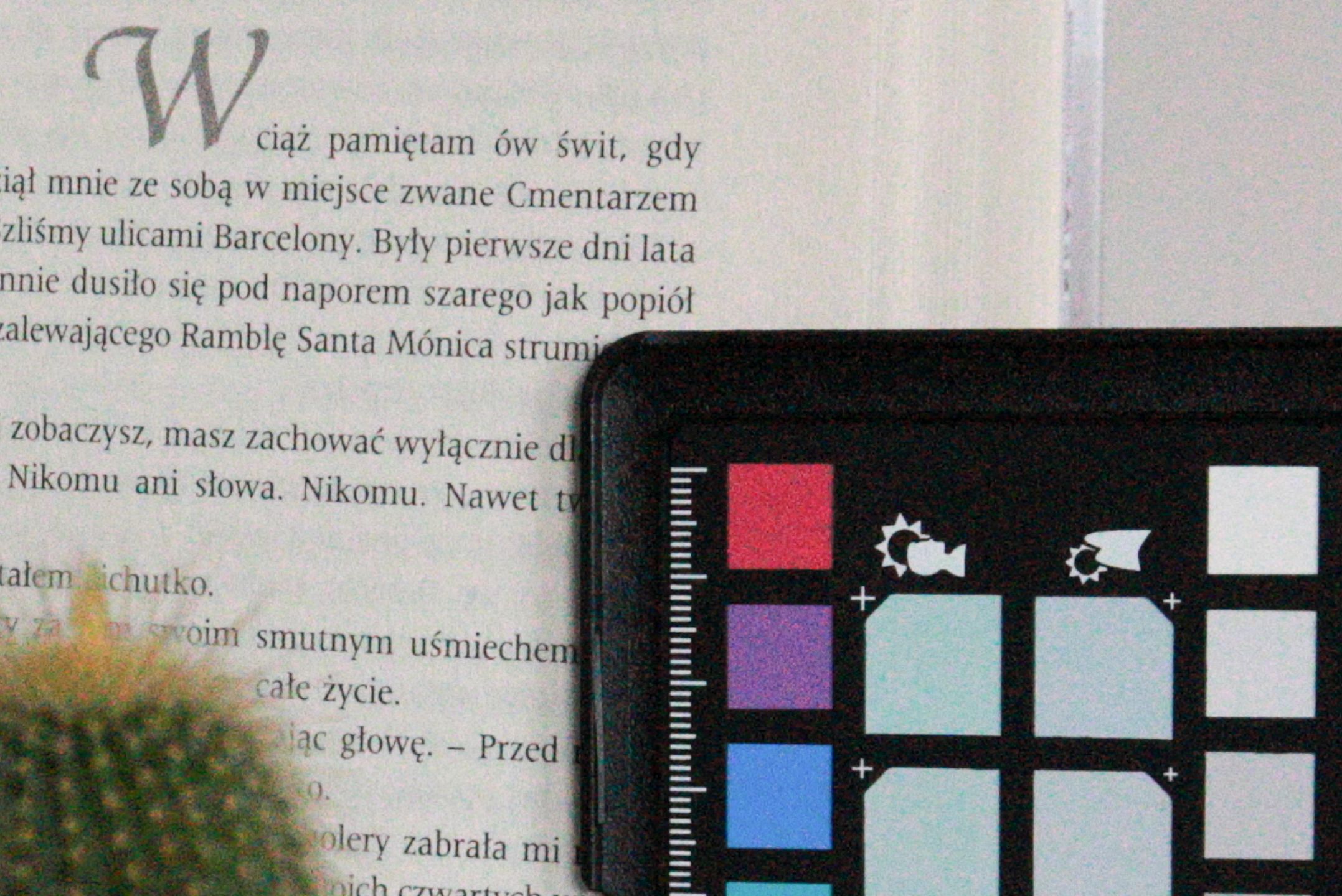 Canon EOS RP - budżetowy aparat wcale nie musi być zły [TEST] 39