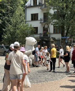 Rewolucja na Krupówkach. Burmistrz już potwierdza. "Koniec"